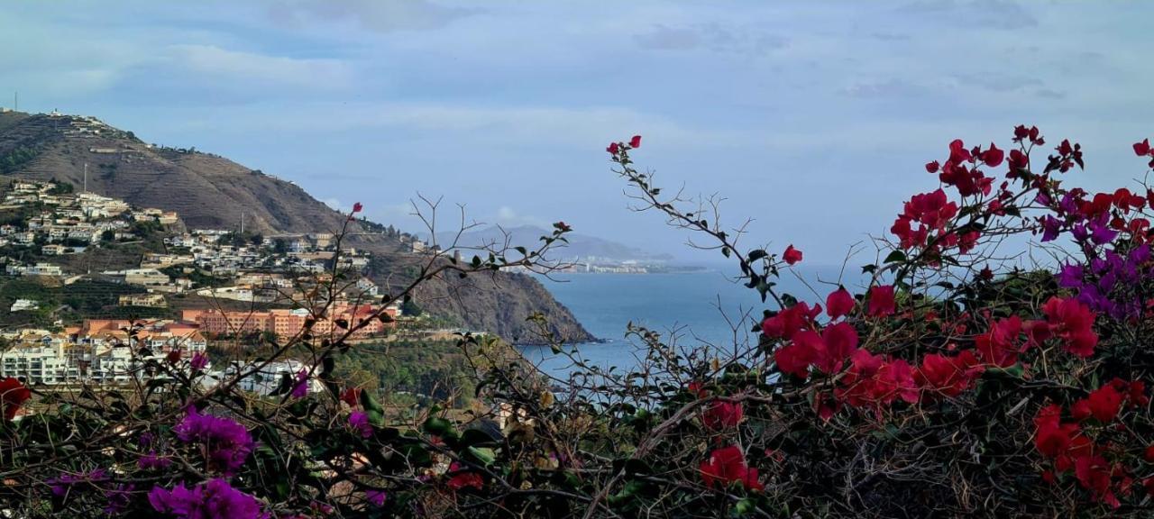 Apartamento Todimer La Belle Vie Granada Exteriör bild